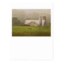 Country - Amish Farming Post Card