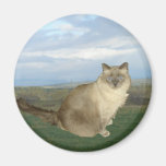 Country Cat Fridge Magnet