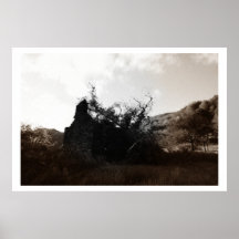Country Cottage Poster