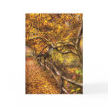 Country - Country road side Cards