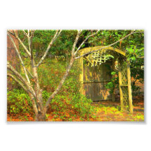 Country Days Print Extra Small Art Photo