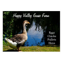 Country Duck or Goose Farm  Business Cards