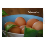 Country Eggs Thank You Card