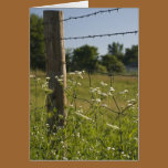 Country Fence Post and Wildflowers Greeting Card cards