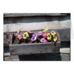 Country Flowers Greeting Cards
