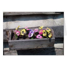 Country Flowers Greeting Cards