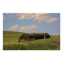 Country Haystack Photo