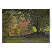 Country Lane Cards