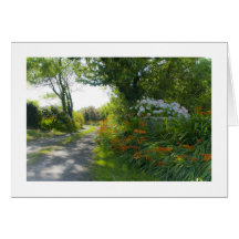 Country Lane, county Cork, Ireland Greeting Card