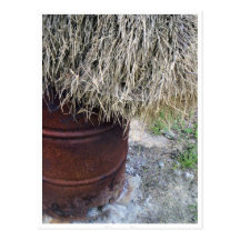 Country Livin' Postcard