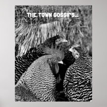 Country Living - Rooster & Hens Print Poster