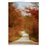 Country Road - Fall Colours