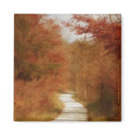 Country Road - Fall Colours