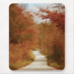 Country Road - Fall Colours