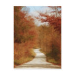Country Road - Fall Colours