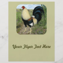 Country Road Gamecock Flyers