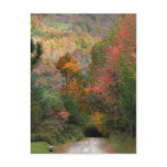 Country Road in Autumn
