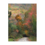 Country Road in Autumn Postcard