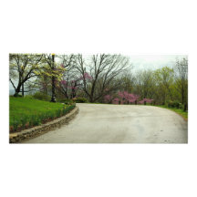Country Road Picture Card