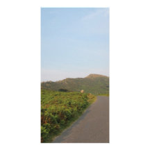 Country Road. Picture Card