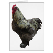 Country Rooster Greeting Cards
