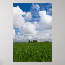 Country Scape Posters