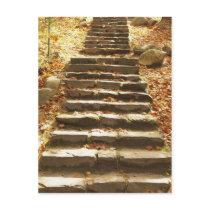 Country Stairway Post Cards