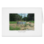 Country Swimming Pool cards