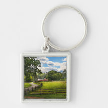 Country - The pasture Key Chain