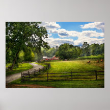 Country - The pasture Posters