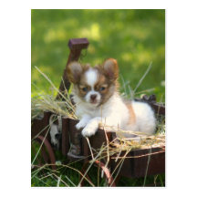 CountryBumpkin Post Cards