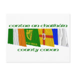 County Cavan Flags