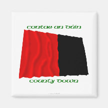 County Down Colours Fridge Magnet
