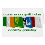 County Galway Flags