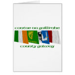 County Galway Flags