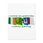 County Galway Flags