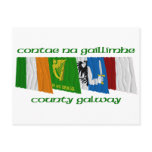 County Galway Flags