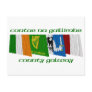 County Galway Flags