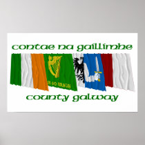 County Galway Flags