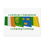 County Kerry Flags