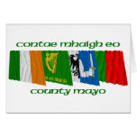 County Mayo Flags