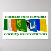 County Roscommon Flags