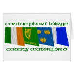 County Waterford Flags