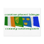 County Waterford Flags