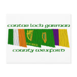 County Wexford Flags
