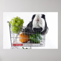 Coup de filet posters