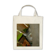 Coup d'oeil sacs