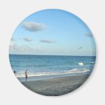 Couple walking on florida beach w seagull magnet