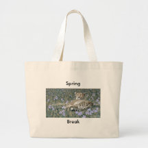Coupure de ressort sac