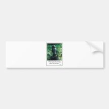 Courage in Everything Bumper Stickers